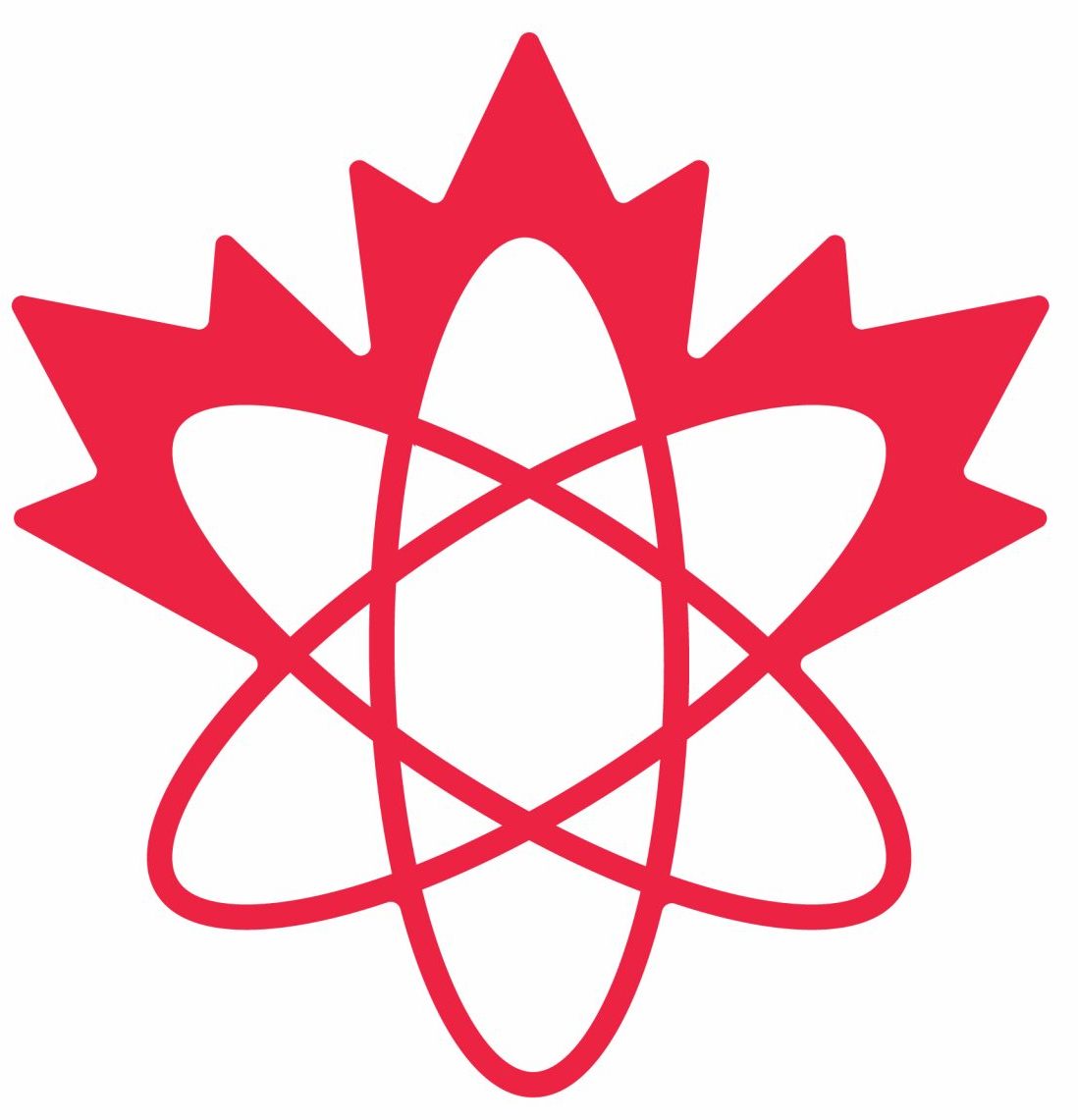 Canadian Nuclear Safety Services Inc.